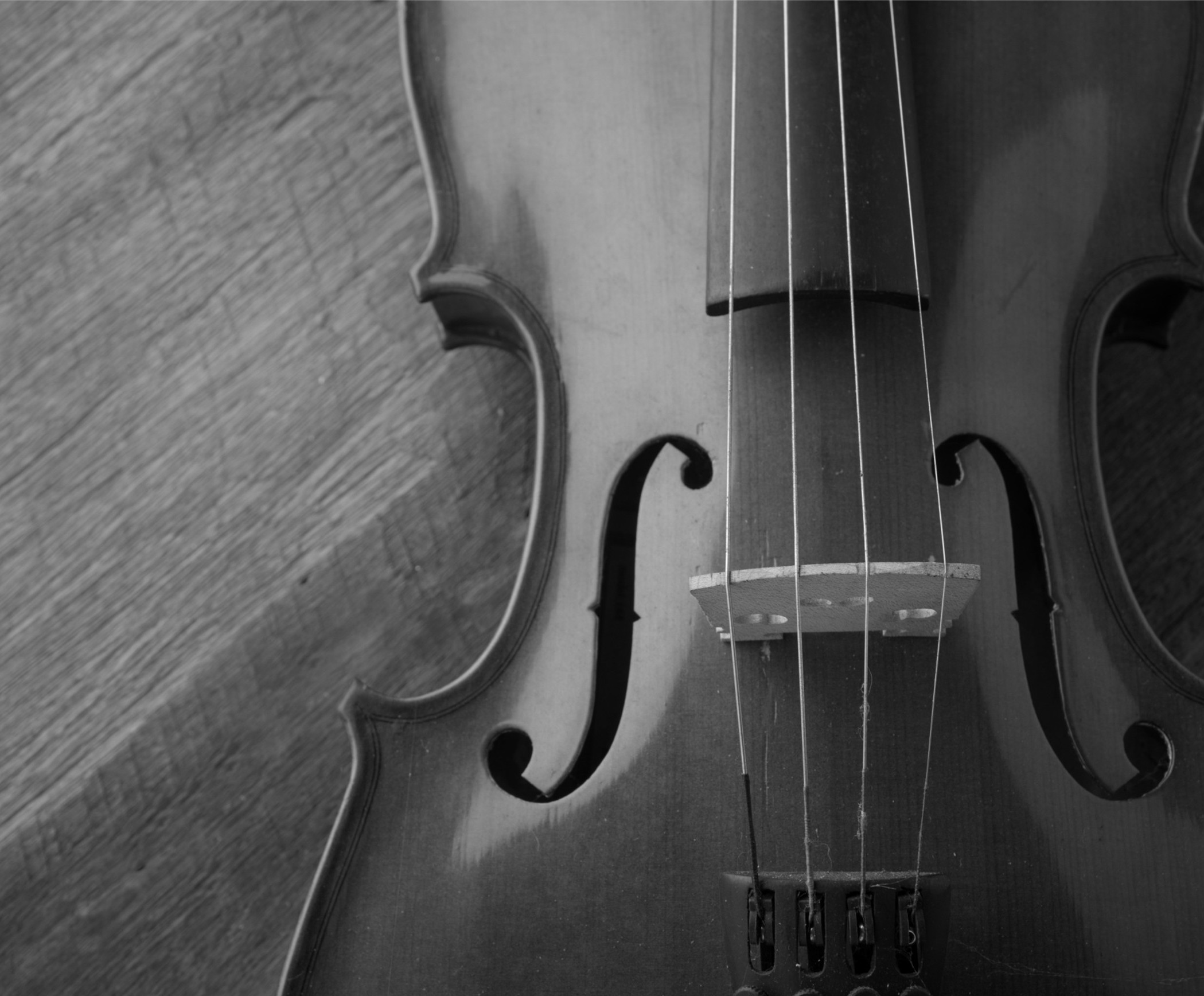 Violoncelle