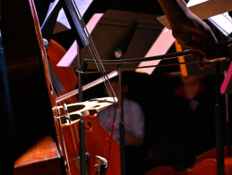 Concert as part of Mirella Vedeva Ruaux's double bass Masterclass