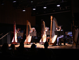 Harp Audition