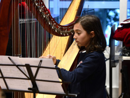 Harp Audition