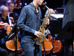 GALA | Musica
