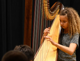 Harp Audition