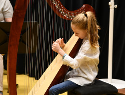 Harp Audition