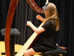 Harp Audition