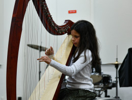 Harp Audition