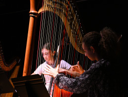 Harp Audition