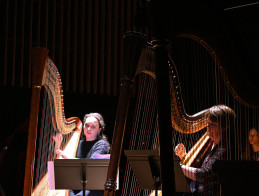 Harp Audition
