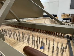 Introducing the "Prélude" French student spruce