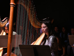 Harp Audition