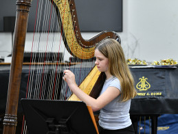 Harp Audition