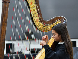 Harp Audition