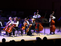 Almost every orchestra!