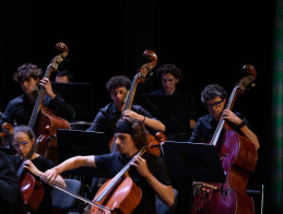 GALA | Musica
