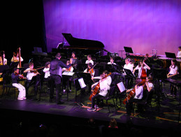 Concert by the Orchestras