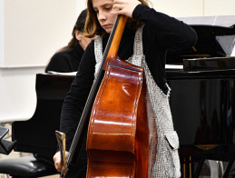 Clarinet &amp; Double Bass Audition