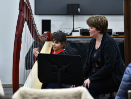 Harp Audition