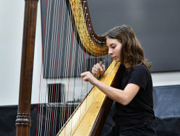 Harp Audition