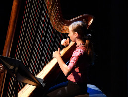 A Midsummer Night's Dream