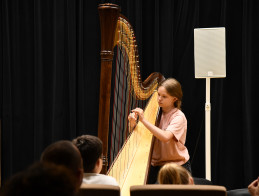 Harp Audition