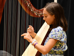 Harp Audition