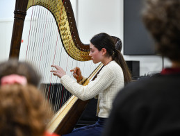 Harp Audition