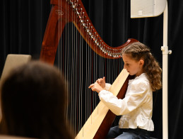 Harp Audition