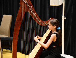 Harp Audition