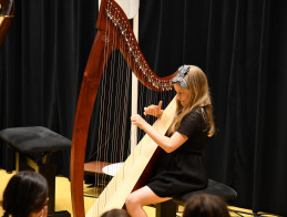 Harp Audition