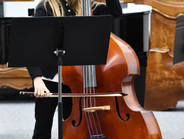 Double bass audition