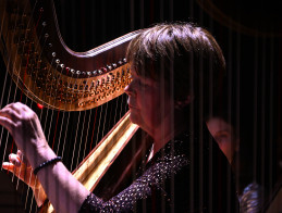 Harp Audition