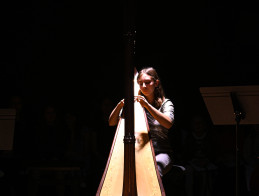 Harp Audition