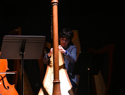 Harp Audition