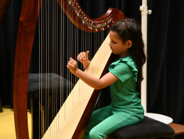 Harp Audition
