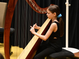 Harp Audition