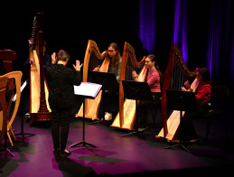 A Midsummer Night's Dream