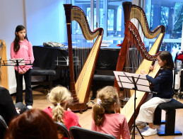 Harp Audition