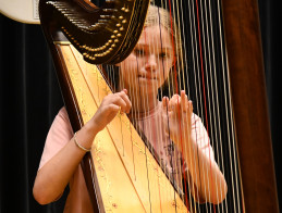 Harp Audition