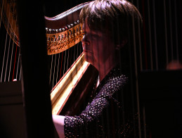 Harp Audition