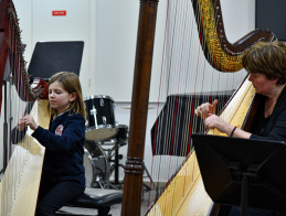 Harp Audition