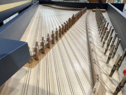 Introducing the "Prélude" French student spruce