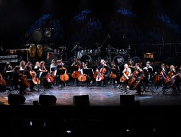 Concert by Ensembles &amp; Orchestras