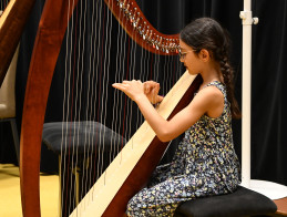 Harp Audition