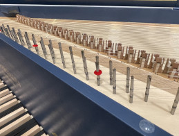 Introducing the "Prélude" French student spruce