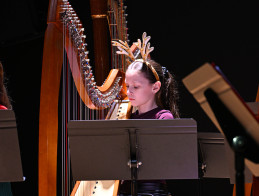 Harp Audition