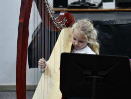 Harp Audition