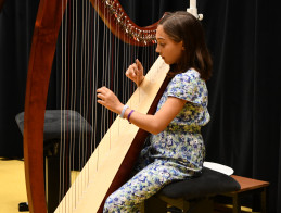Harp Audition