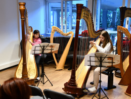 Harp Audition