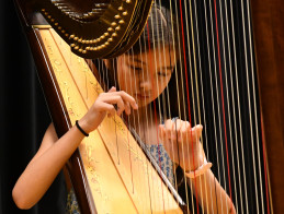 Harp Audition