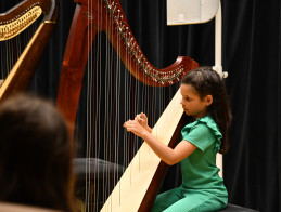 Harp Audition