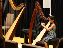 Harp Audition